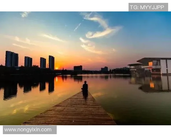 南京篮球队实力飙升创历史新高引发关注与期待