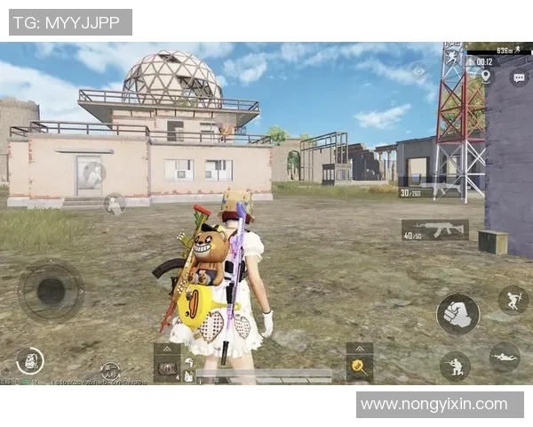 和平精英纪实：深度剖析LNG战队的成长与奋斗历程