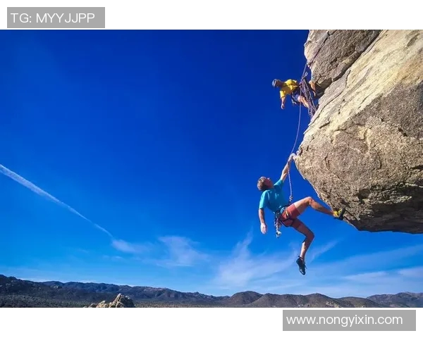 南京攀岩队中路突破之路：深度解析攀岩技术与团队精神的结合