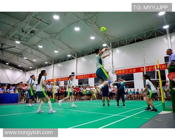 对话陈芳：回顾她的排球生涯与成长历程的深度访谈