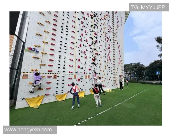 杭州攀岩队在极限运动嘉年华中以72分稳居积分榜首位 杭州攀岩队在极限运动嘉年华中以72分稳居积分榜首位