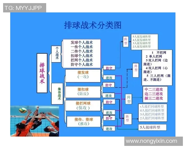 杭州排球队中路突破表现分析与战术调整探讨