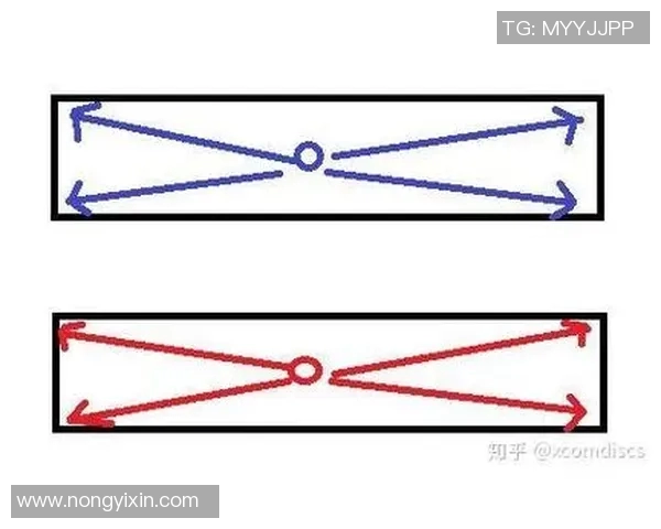 深入分析杭州飞盘队区域防守战术及其应用效果 深入分析杭州飞盘队区域防守战术及其应用效果