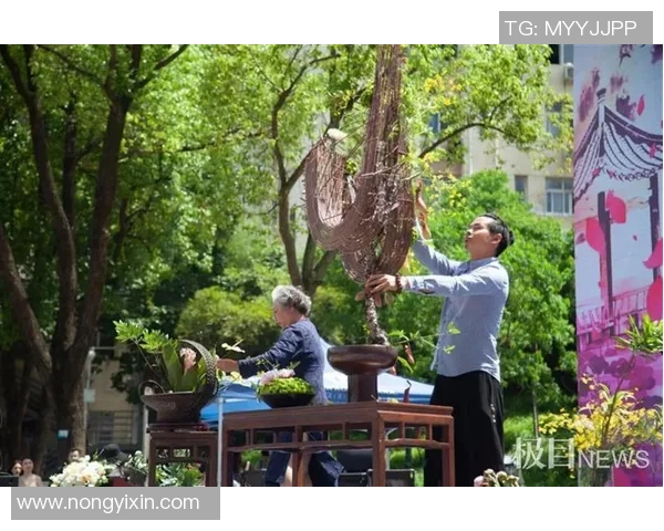 武汉街舞队在极限运动会中的个人能力展现与精彩点评分析