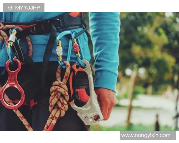 武汉攀岩队创新快攻战术引领全国攀岩新潮流的深度解析