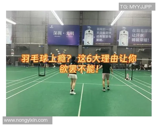 羽毛球盛宴：深入西安羽毛球队的训练与比赛节奏探讨