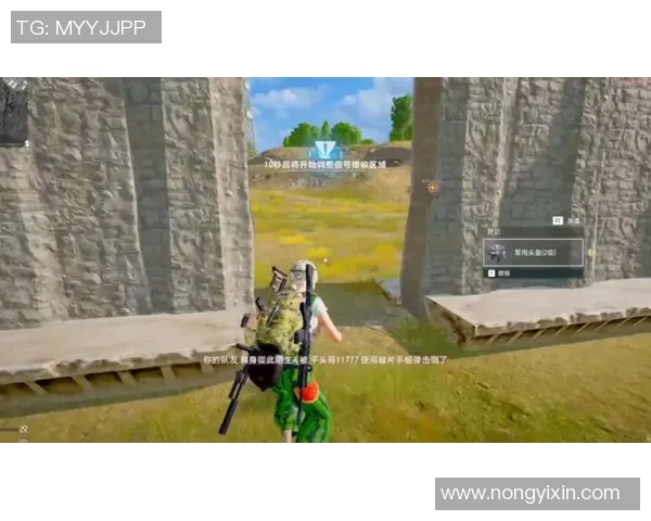 聚焦和平精英战术解析：TES战队如何制胜的秘密与策略探讨