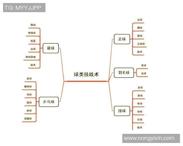 北京排球队配合策略分析与战术提升探讨
