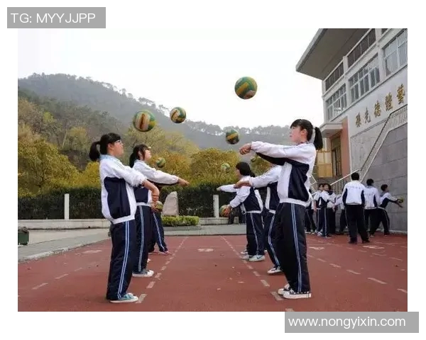 从零起步全面掌握排球力量技巧与训练方法的实用指南