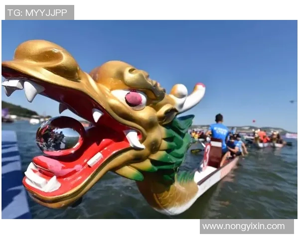 南京排球队的奋斗历程与亚运会荣耀之路的成长故事