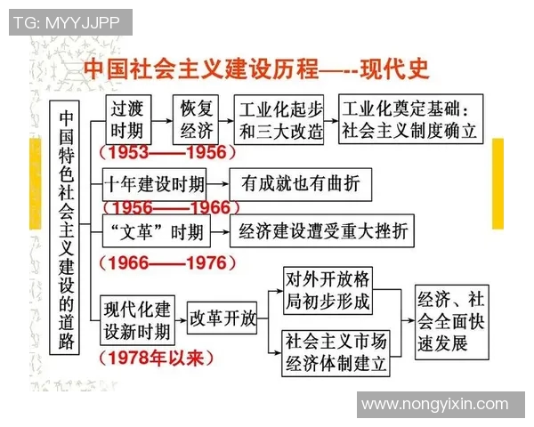 武汉篮球队的控制革新探索与发展路径分析 武汉篮球队的控制革新探索与发展路径分析