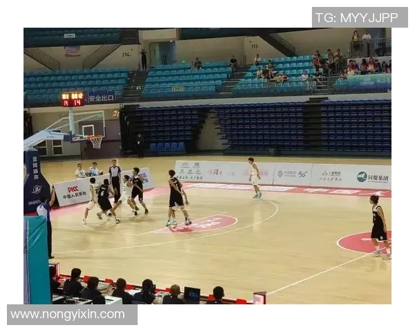 西安篮球队战术分析与表现评估全面解读