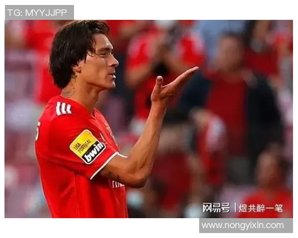 努涅斯在赛场上的崛起与挑战解析，揭示未来足球发展的新星潜力