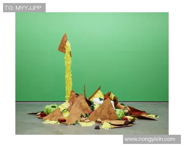 加莱诺的艺术世界探秘：从创作灵感到作品背后的故事