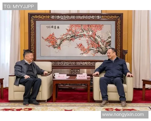 张宁的奋斗历程与成就探索：从平凡到卓越的成长之路