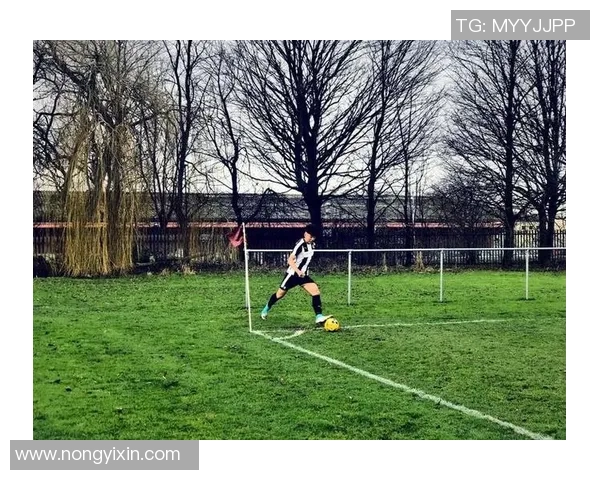 本泽马：从球场传奇到人生新篇章的华丽转身与未来展望