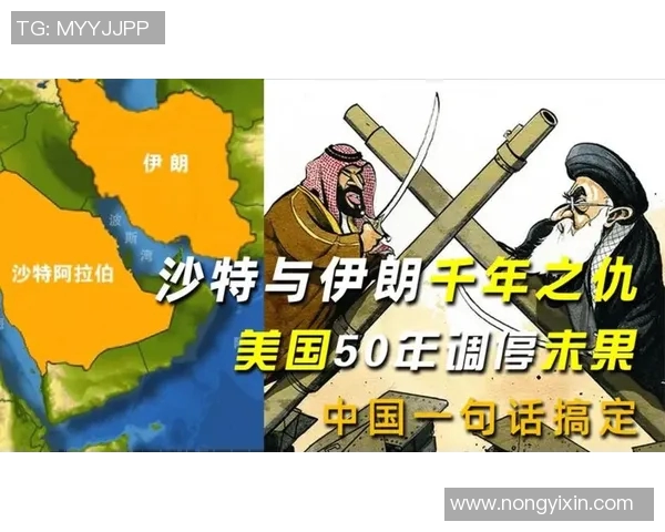 阿联酋与沙特精彩对决直播视频全程回顾与分析