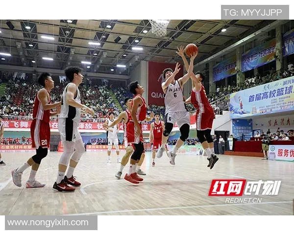 辽宁男篮与河南男篮激战正酣谁将赢得这场篮球巅峰对决