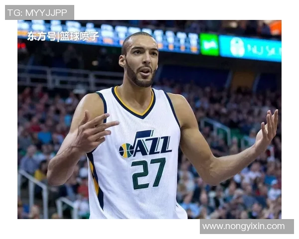 鲁迪戈贝尔在NBA的防守艺术与进攻潜力全面解析