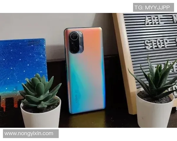 小牛2与红米全面对比哪款手机更适合你的需求与预算