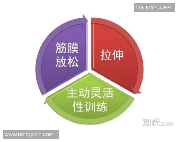 西安网球队的灵活性探讨与发展策略分析