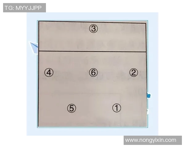 重庆排球队的节奏打法深度分析与战术解读