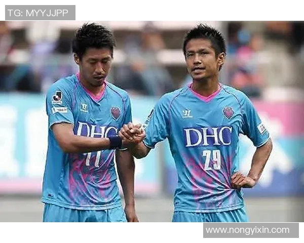 鸟栖砂岩与长崎航海的奇妙交汇与文化碰撞探讨