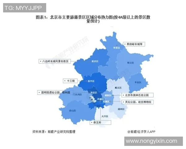 北京排球队实力揭秘：从训练到比赛的全景探索与分析MBA