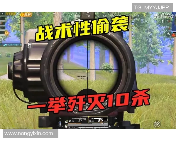 和平精英V5版本防反机制深度解析与实战技巧分享